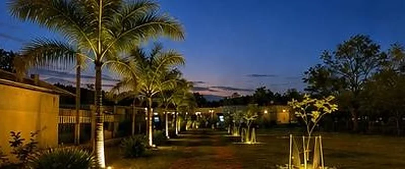 Palmeras iluminadas de noche en el loteamiento