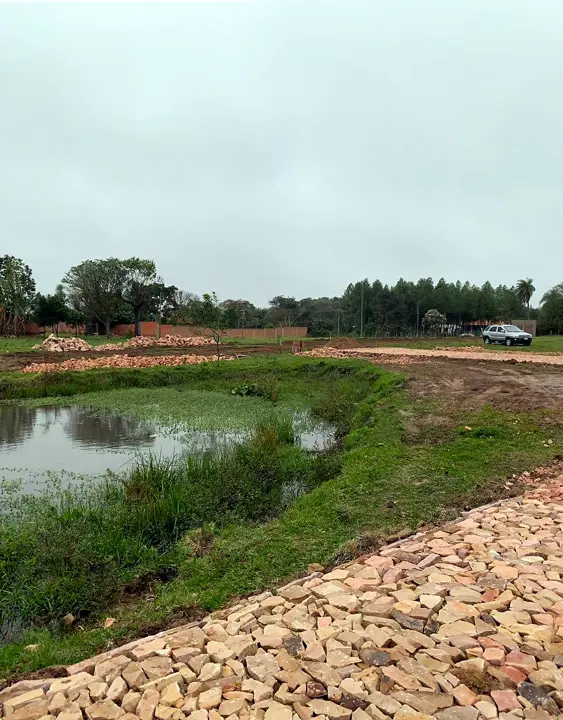 Calle abriéndose entre los lotes, con la piedra preparada